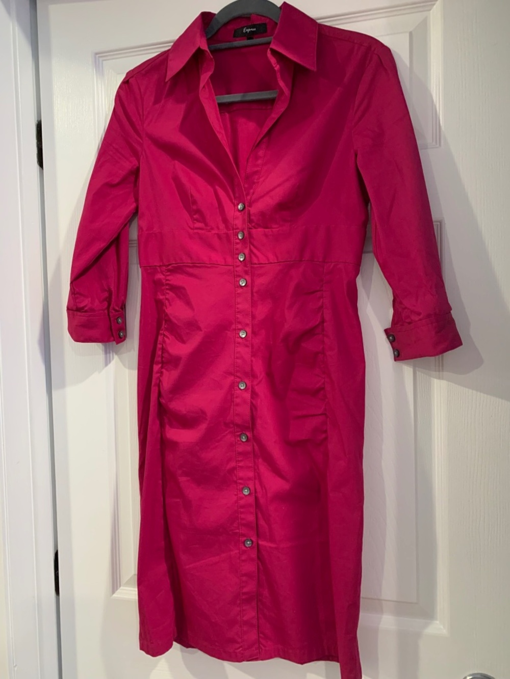 Fuschia Dress by Express Size 4